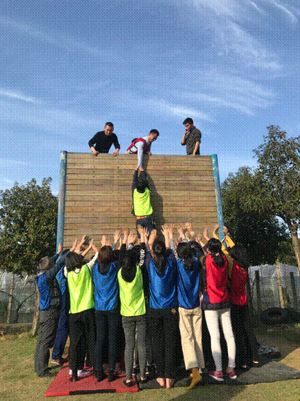 专业创造价值,拼搏成就梦想